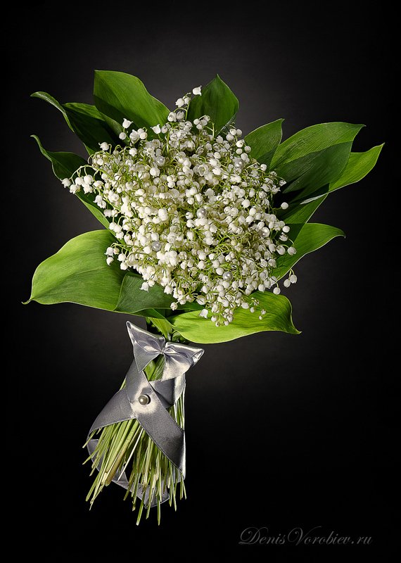 цветы, реклама, Denis Vorobiev
