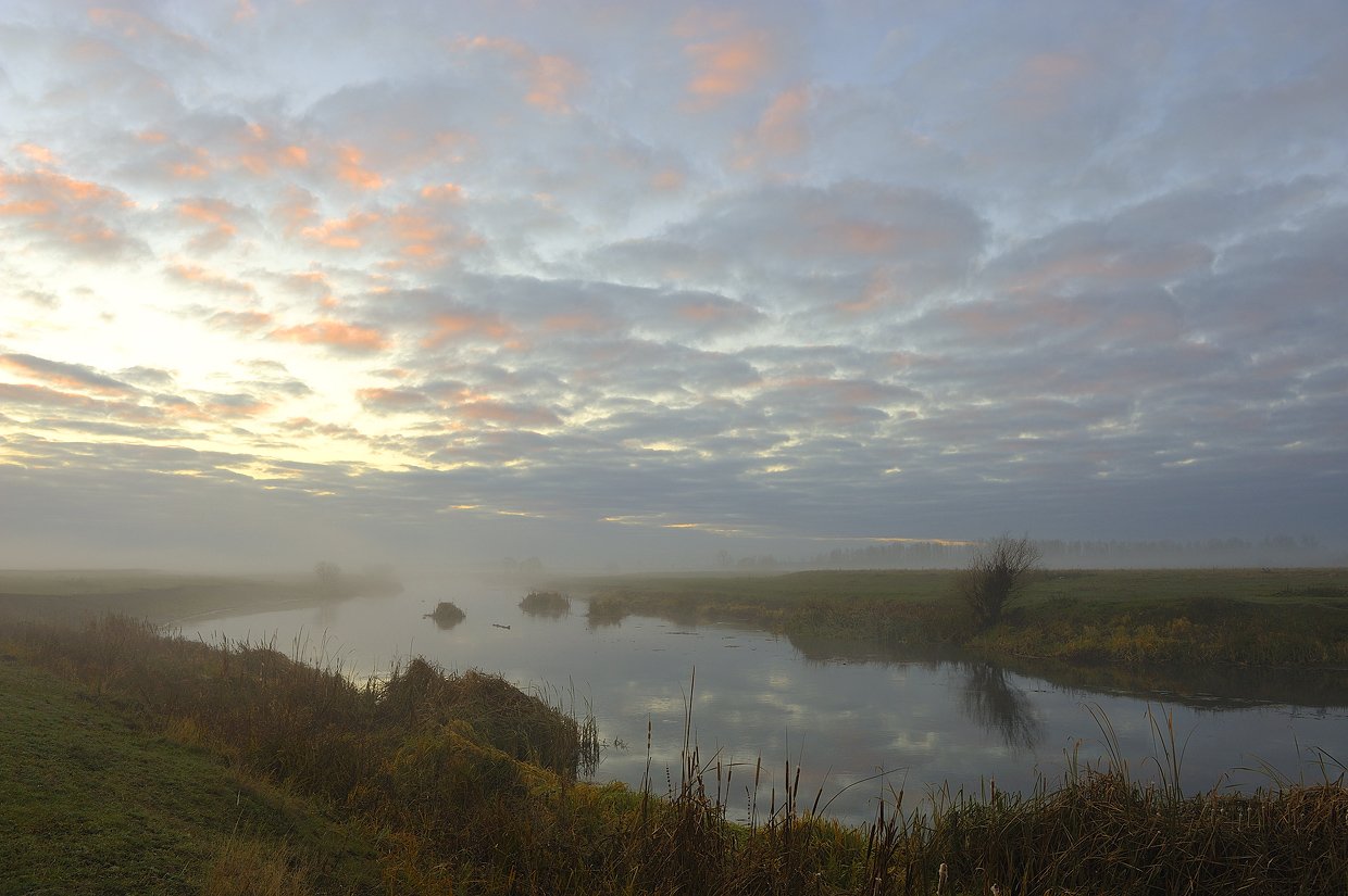 туман, река, сейм, курская область, Андрей Балабин