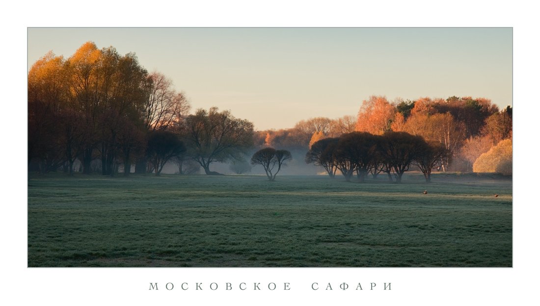 парк, осень, туман, на озерах, Константин Иванов