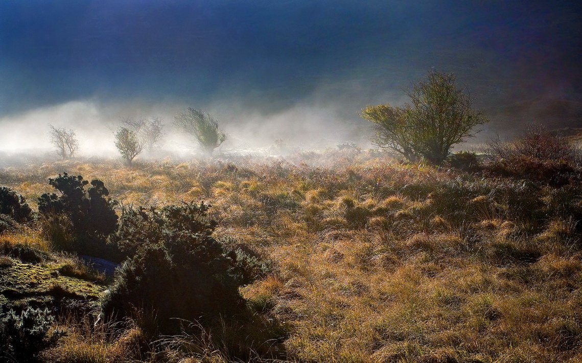 утро, туман, ирландия, Екатерина Богданова