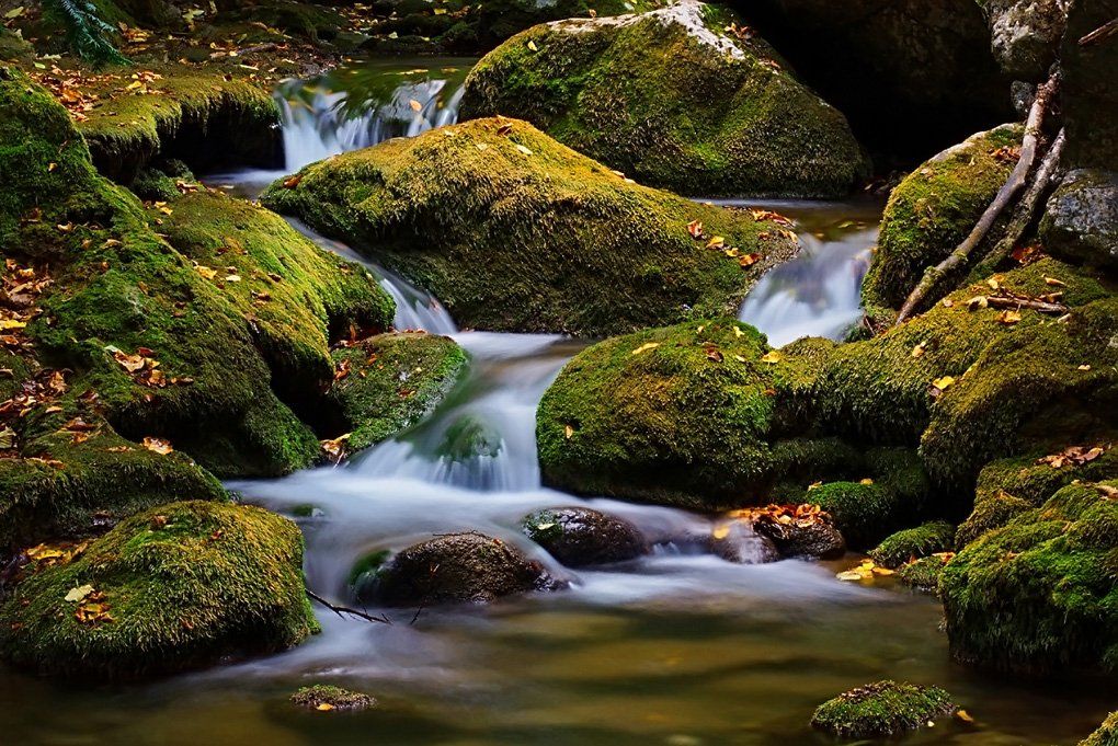 ручей, камни, вода, листья, течение, водопад, природа, крым,, Сергей Шульга