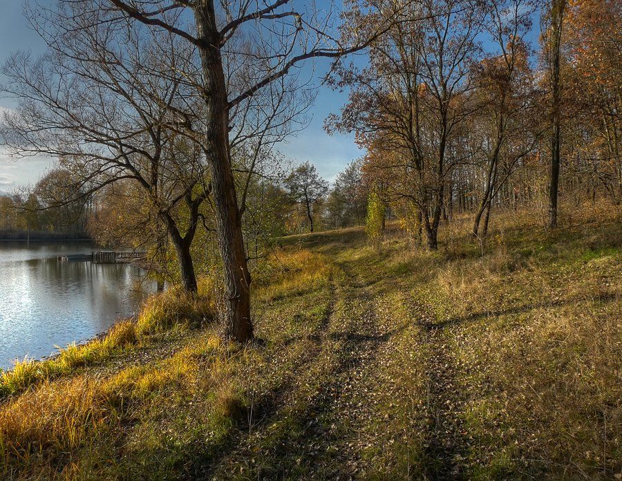 пейзаж, дорога, деревья, пруд, DAN