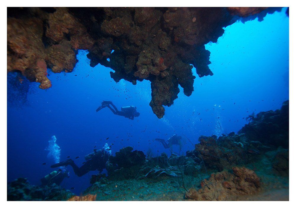 egypt, dahab, underwater, Anton Akhmatov