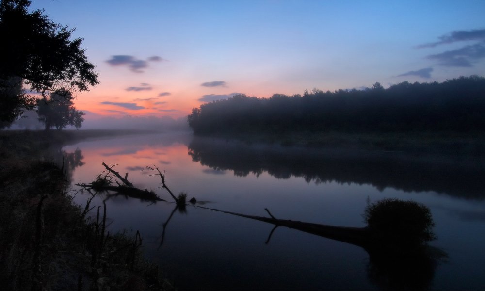 туман, утро, осень, река, Петриченко Валерий