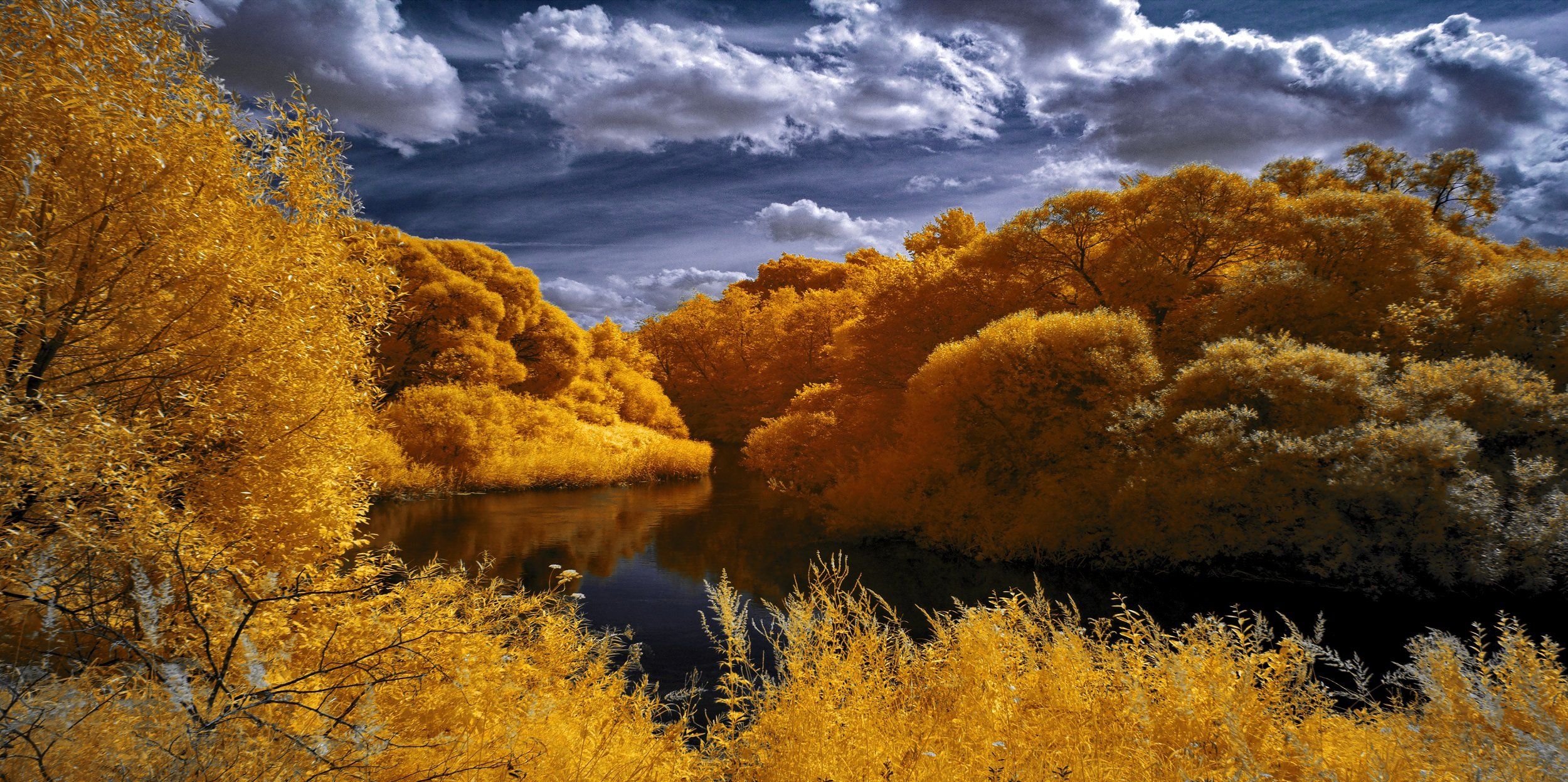 infrared,ик-фото,инфракрасное фото,инфракрасная фотография,пейзаж,природа,беларусь,лето, Sixten ( Сергей )