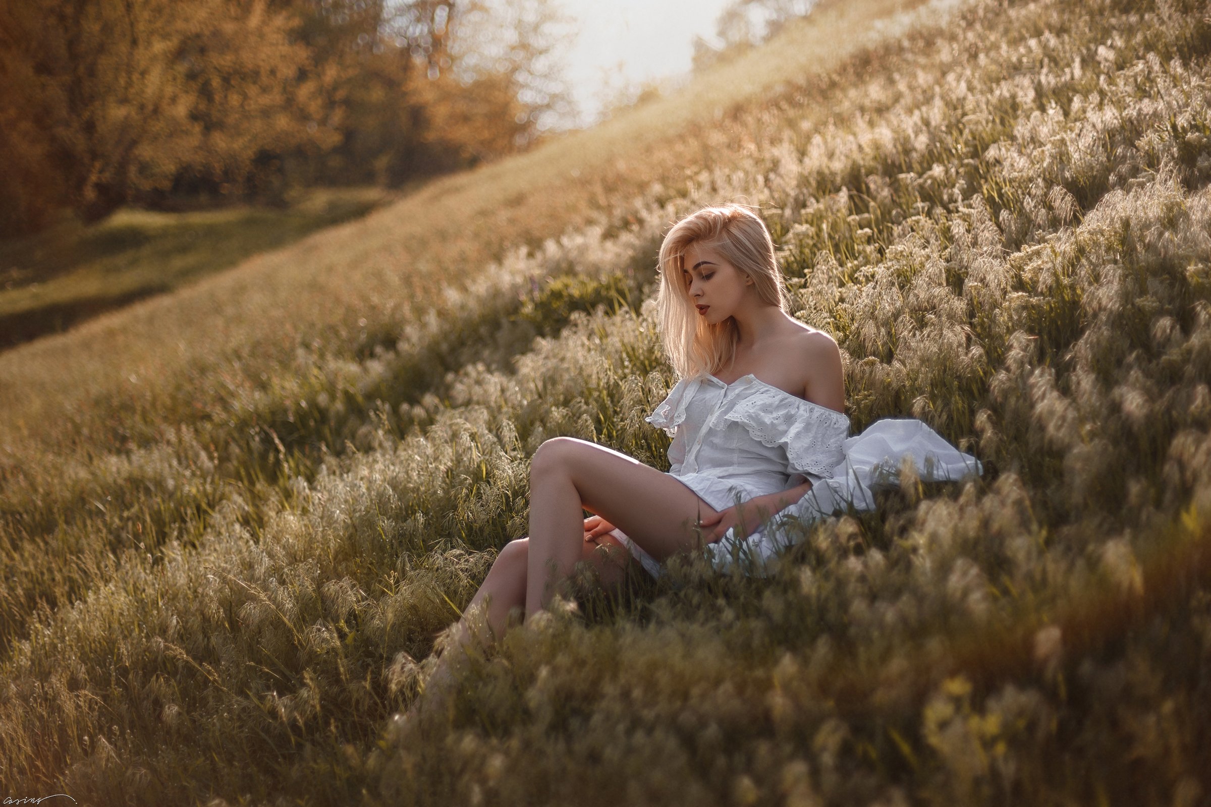 summer, sunset, sun, girl, field, nature, grass, Aleksandr (Casing)