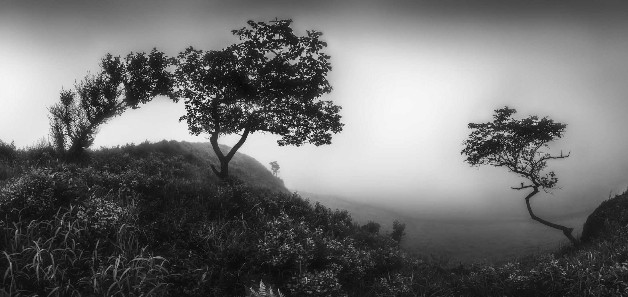 панорама, утро, туман, Андрей Кровлин