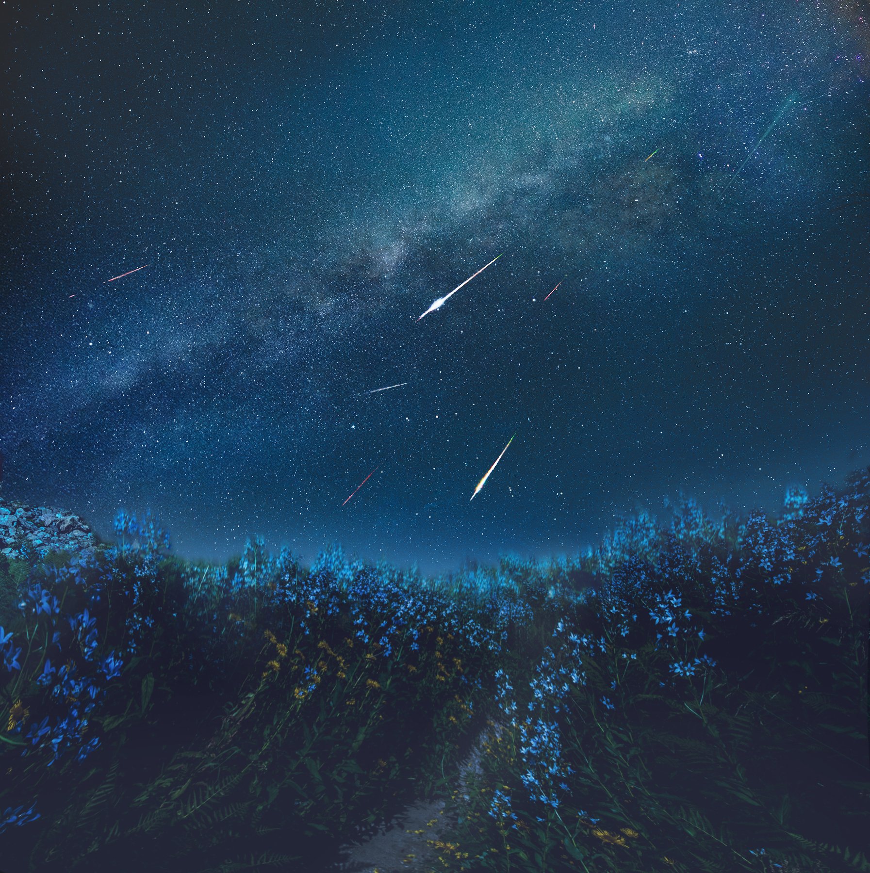 Звездопад, ночной пейзаж, астрофотография, Оксана Сироткина