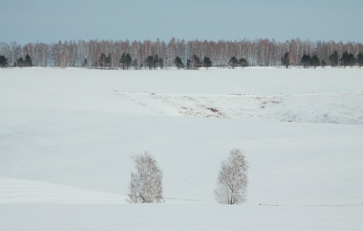 , Николай М