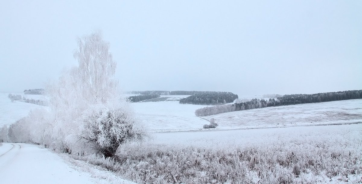 , Николай М