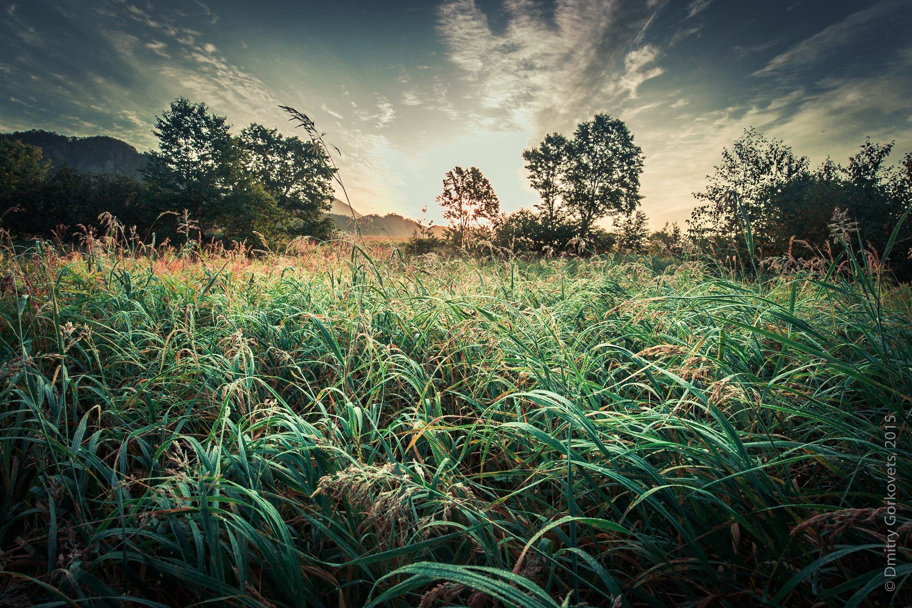 камчатка рассвет тихий океан pacific ocean sunrise landscapes photobydmitrygorkovets жировая речка river, Горковец Дмитрий