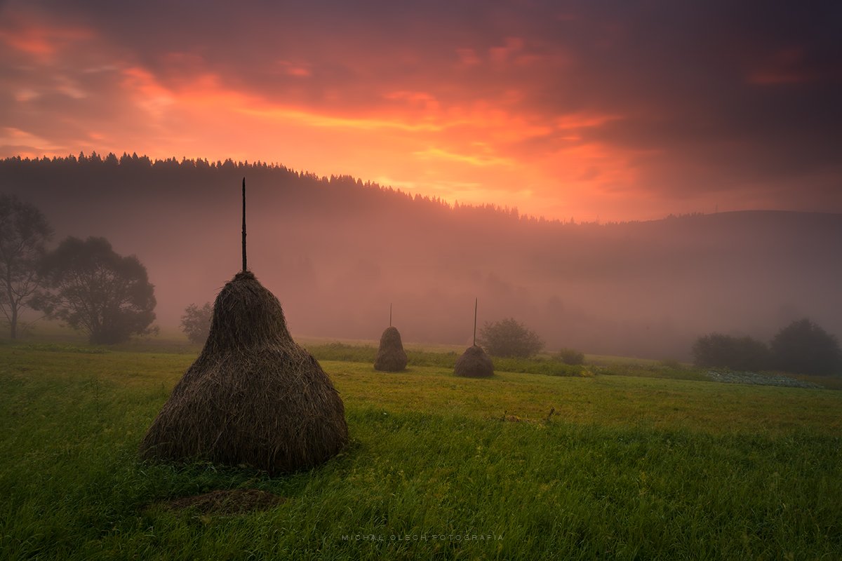 fog, dawn, ukraine, mountains, туман, украина, утро, горы, Michał Olech