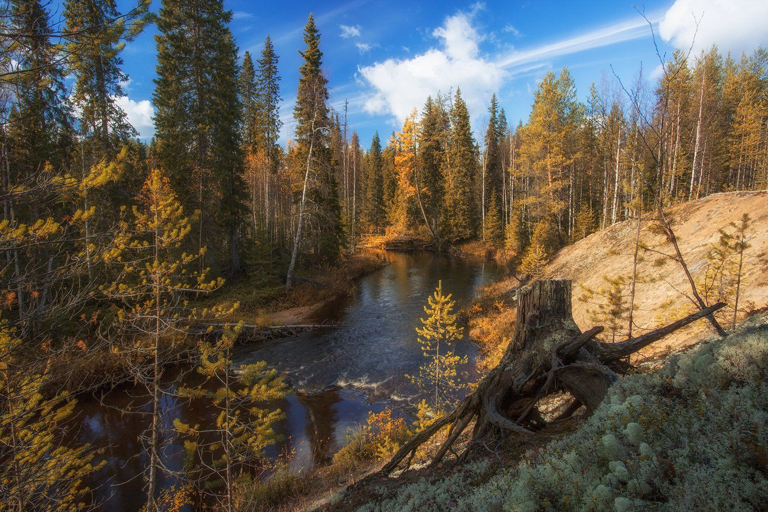 , Поташев Александр