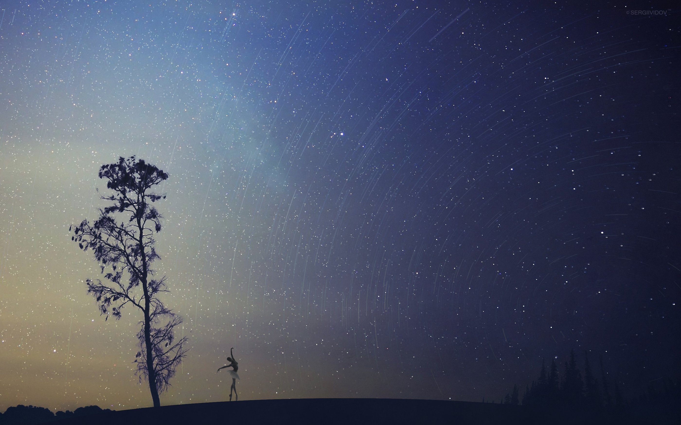 ночь, звезды, небо, дерево, балерина, Sergii Vidov