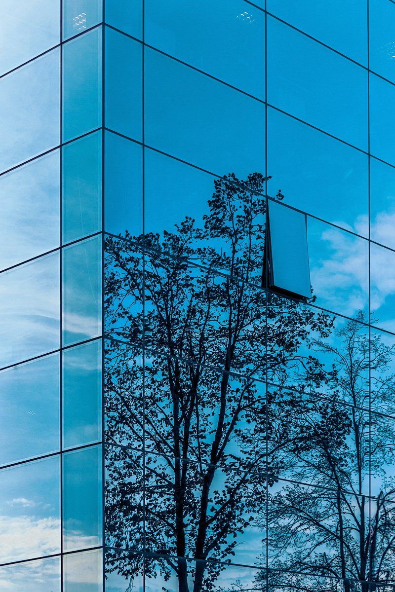 city, architecture, abstract, tree, reflection, window, Руслан Болгов (Axe)