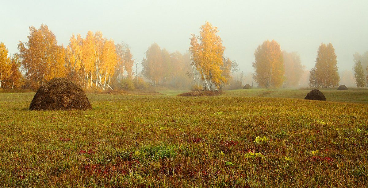 , Николай М