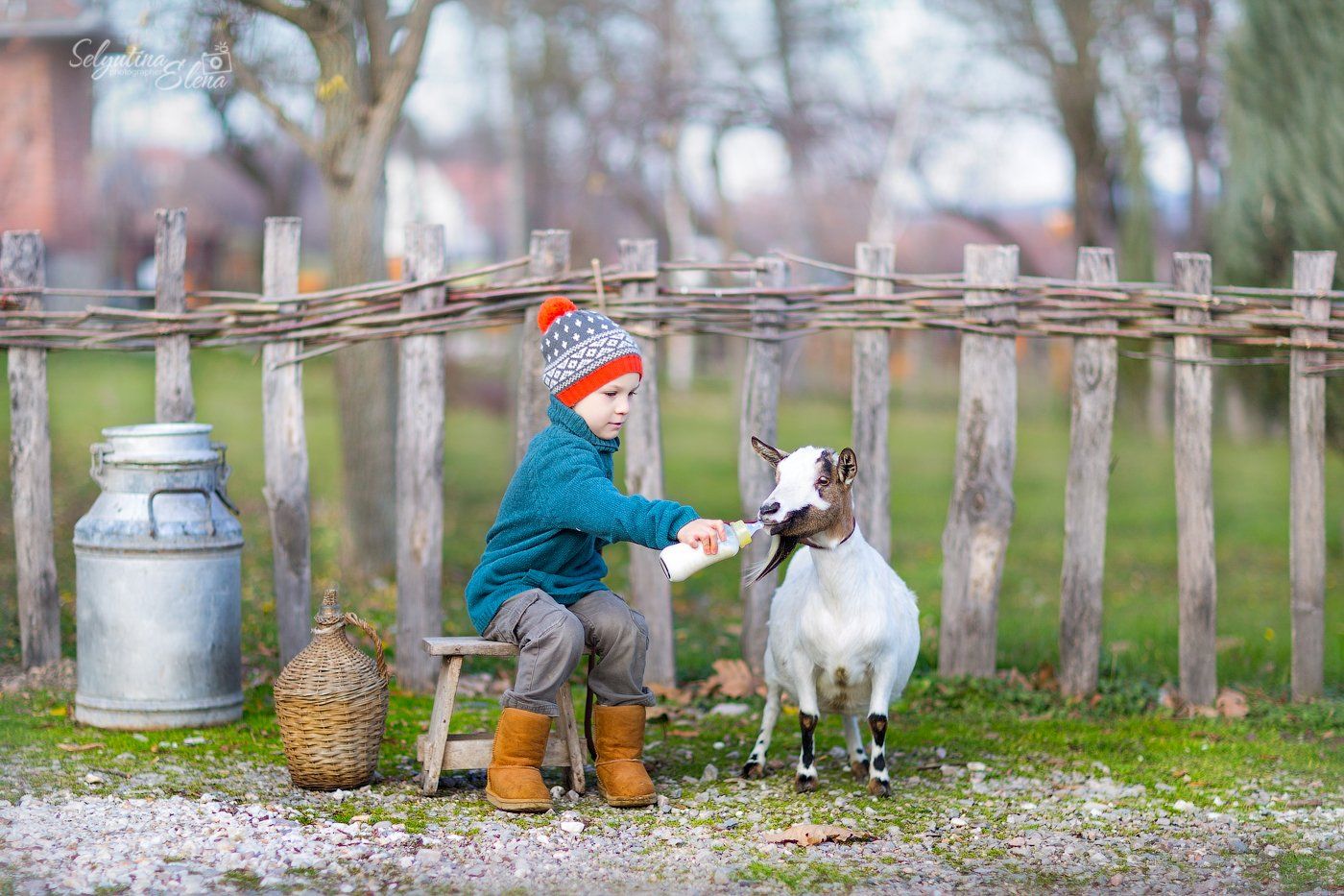 детский фотограф, семейный фотограф, ферма, деревня, малыши, фотосессии с животными, farm, village, коза, осень , Elena Selyutina