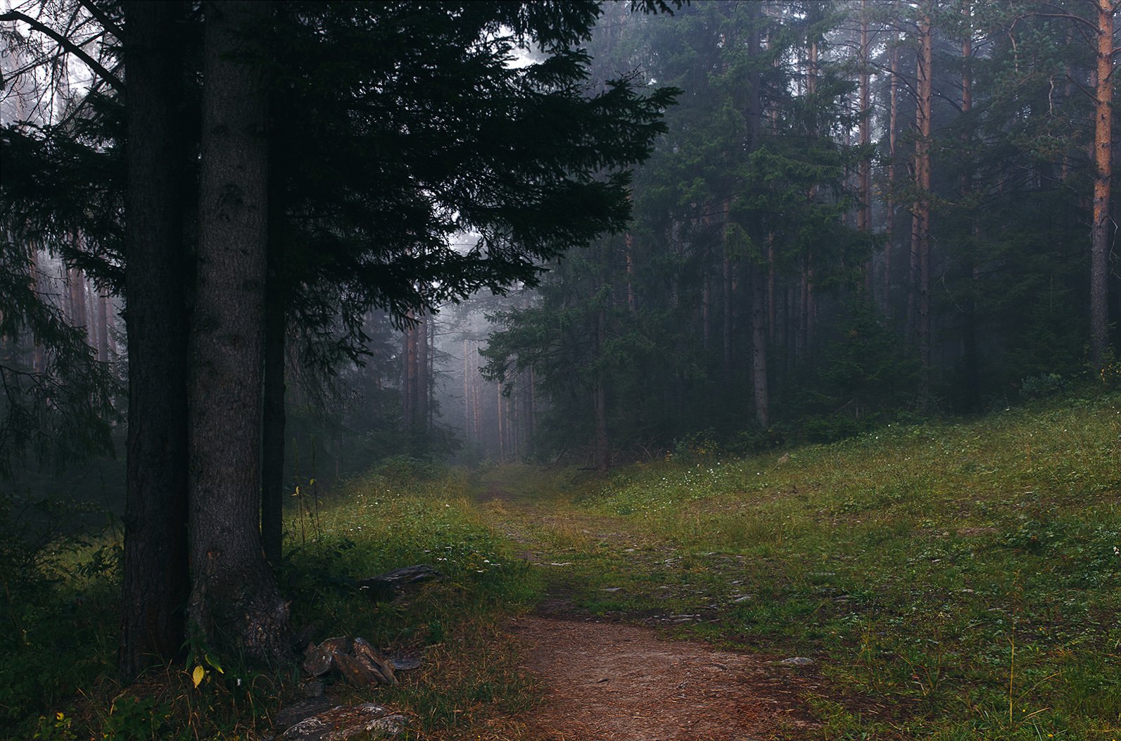 пейзаж, лес, утро, рассвет, туман, природа, южный урал, Евгений Толкачёв