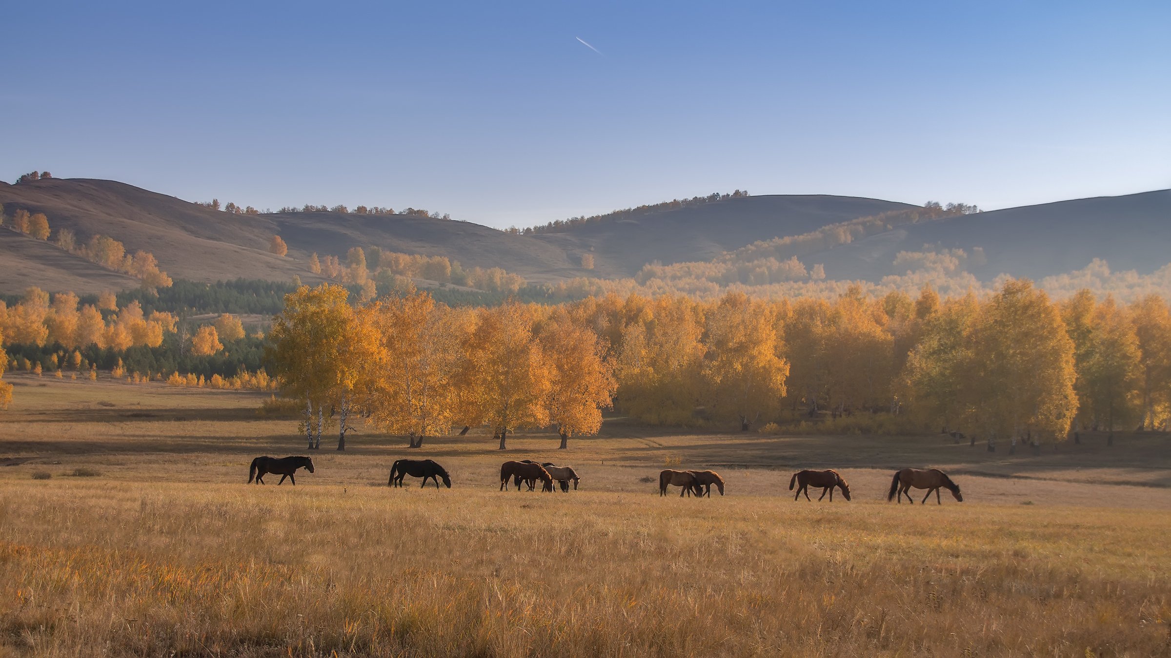 кони, горы, осень, Леонид Максименко