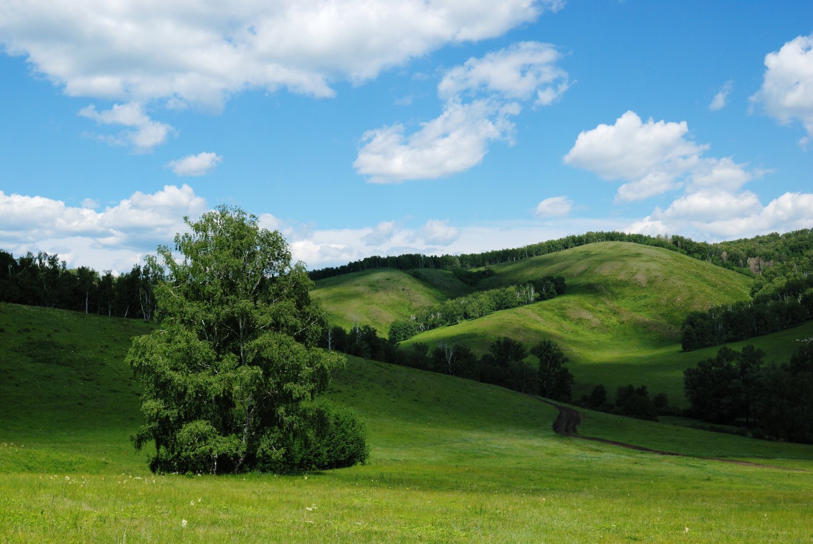 башкирия, Андрей Ершов