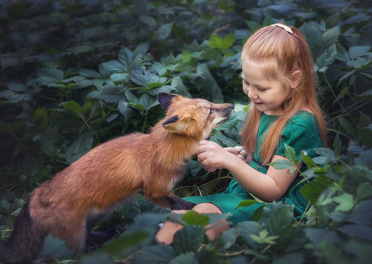 girl, fox, forest, summer, red-haired, friendship, Олеся Курсанова