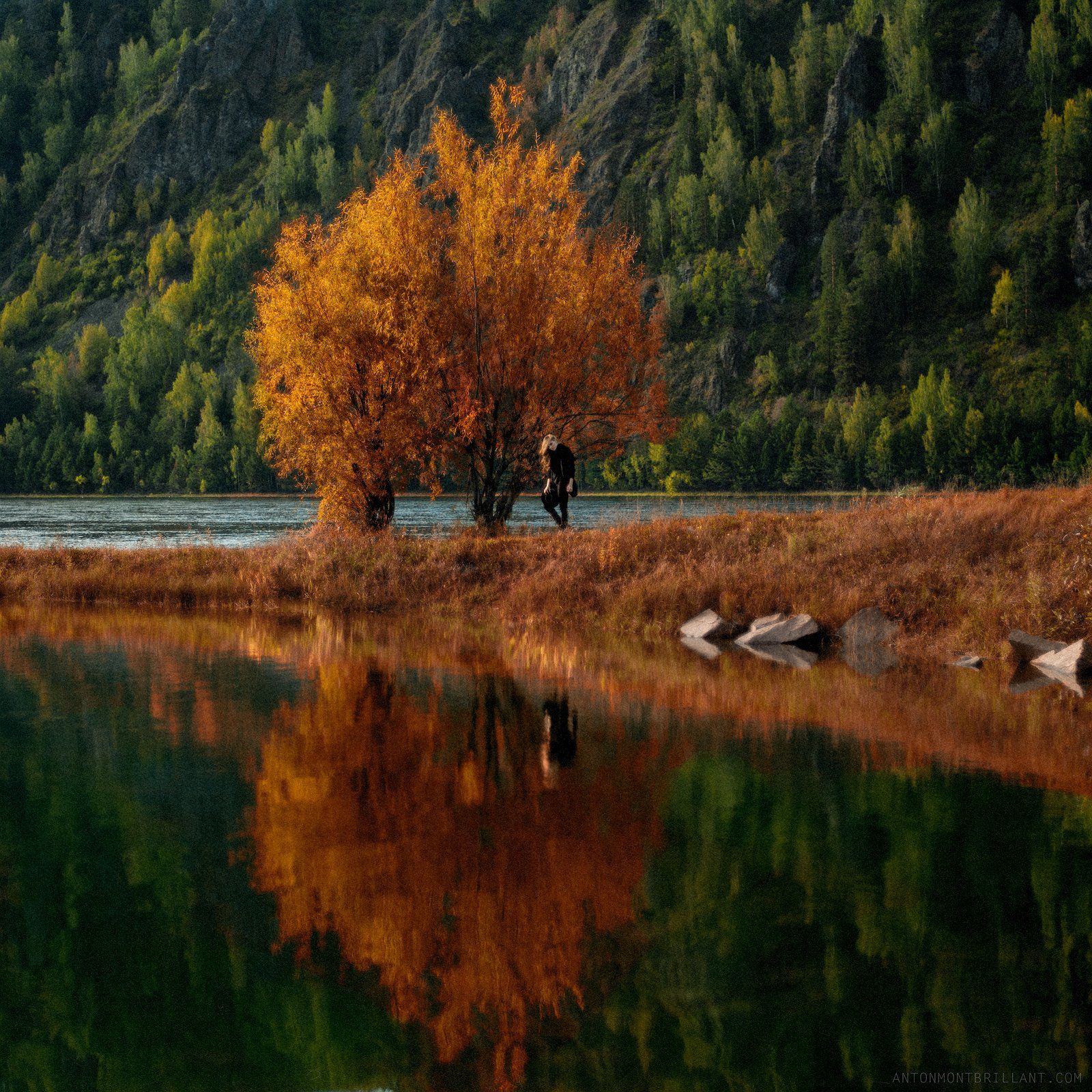 35 Фото Фотосайт