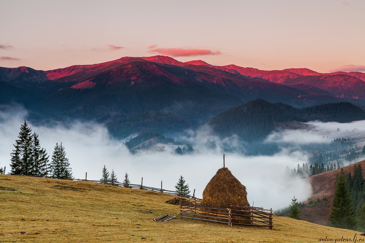 рассвет, туман, карпаты, горы, осень, Антон Петрусь