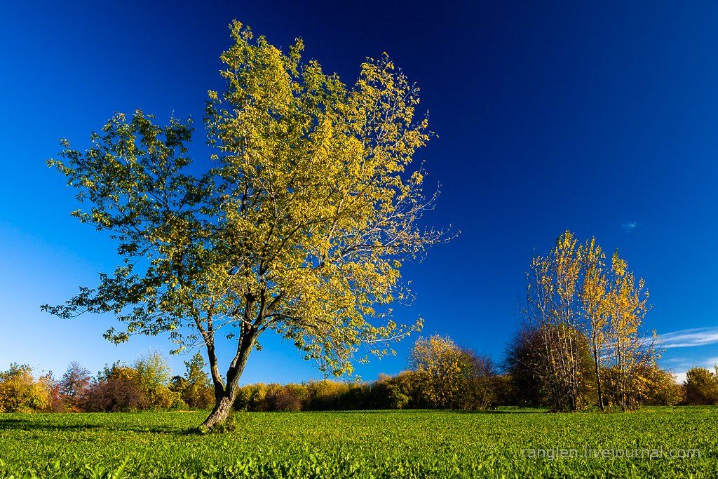 коломенское, москва, осень, золотая, небо, пейзаж, Иван Губанов