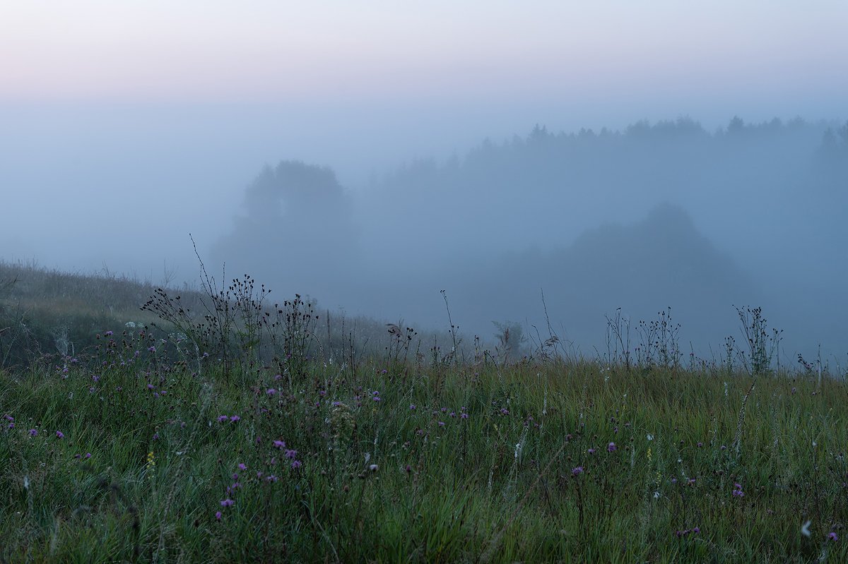 пейзаж.природа,утро,рассвет,туман.,лето, Юлия Лаптева