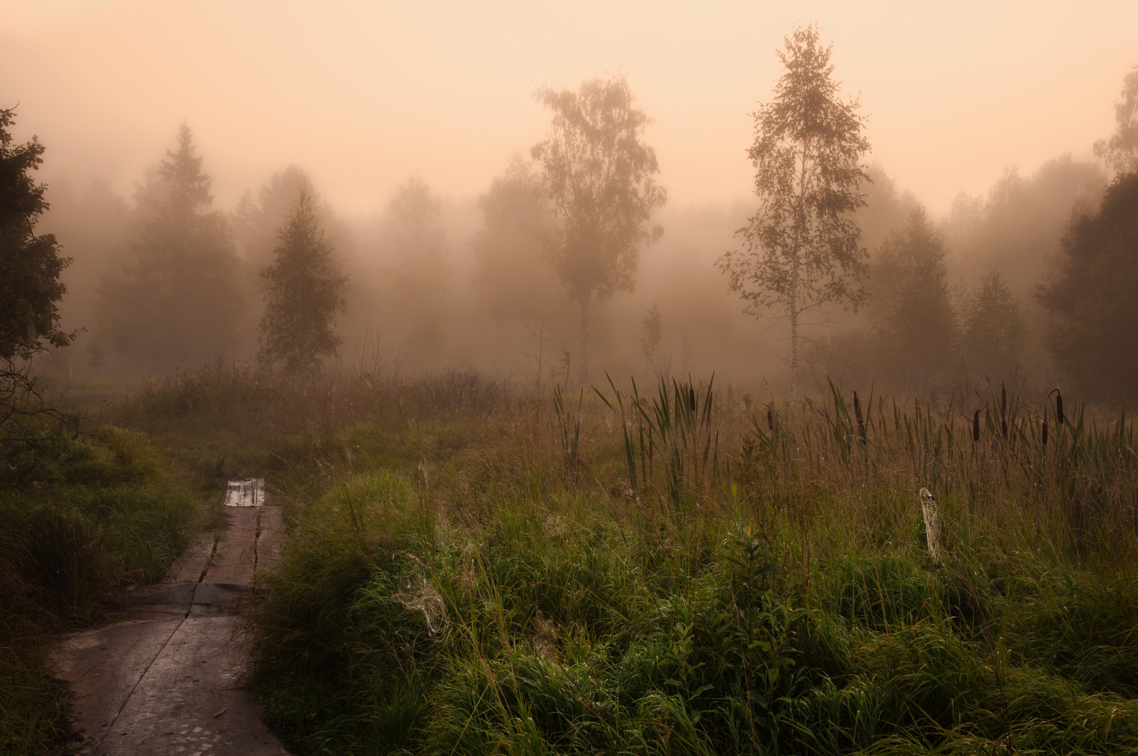 утро, рассвет, природа, пейзаж, туман, осень, Алексей Сергованцев