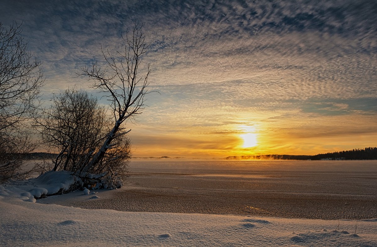 декабрь,зима,вечер,лед,снег,свет,пейзаж, Евгений Плетнев