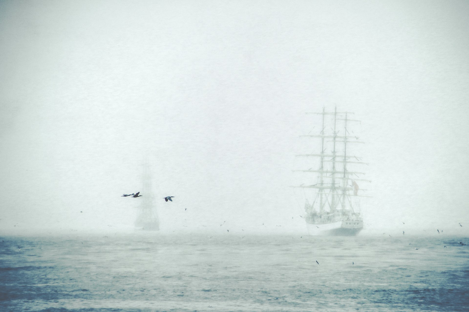 baltic sea, sailing ship, birds, fog, Руслан Болгов (Axe)