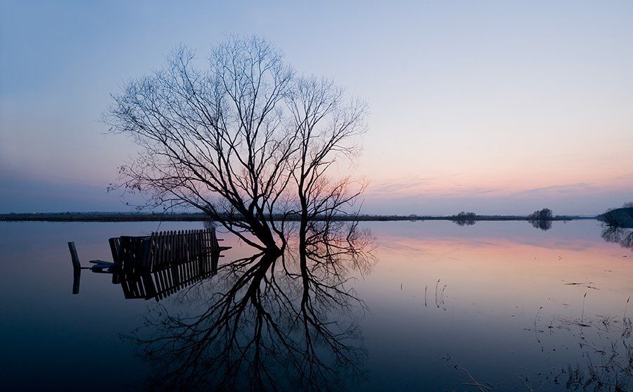 весна, разлив, озеро, дерево, причал, закат, отражения, Андрей Алексеев