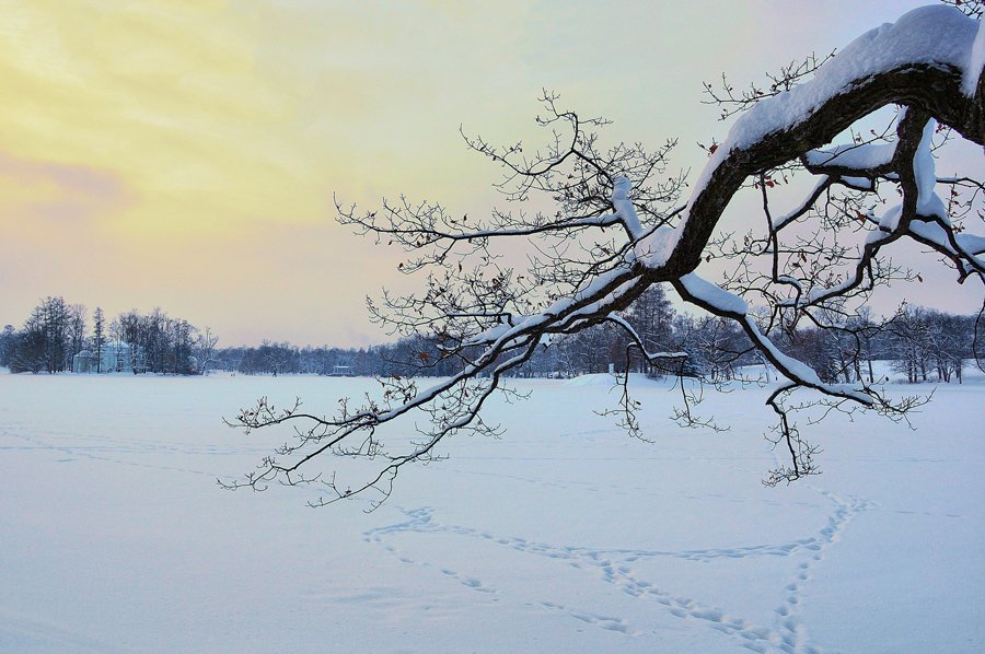 пушкин, зима, Виктор Майбах