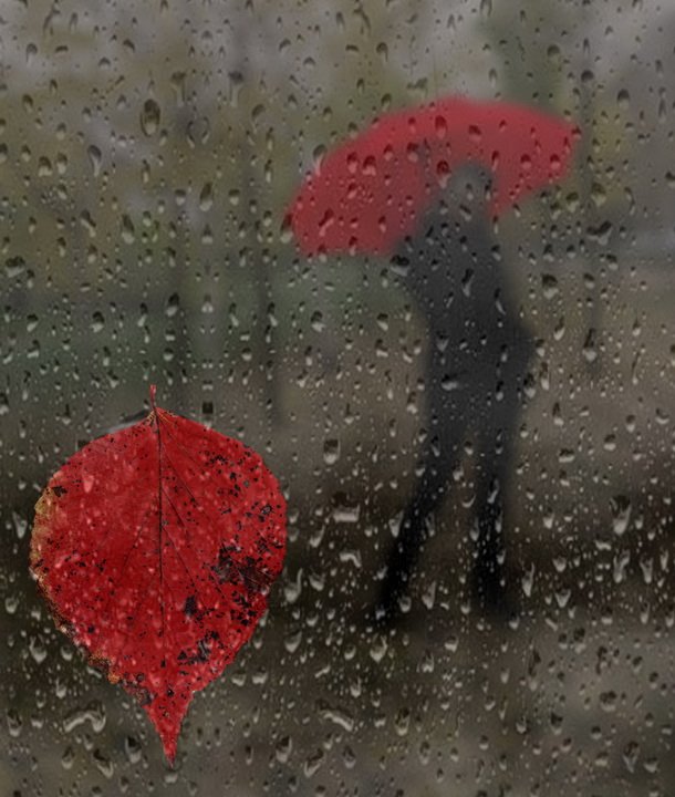 дождь, зонт, листок, капли, Iridi (Ирина Кузнецова)