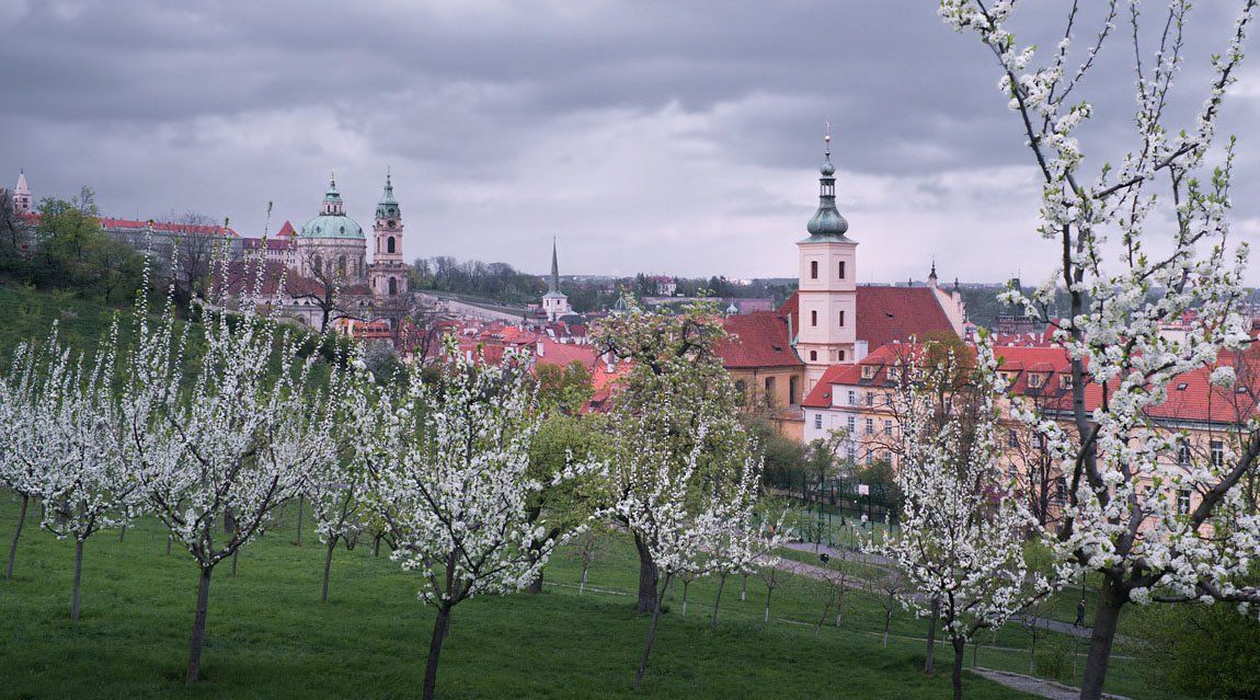 чехия,прага,весна,город,яблони, Ravilin