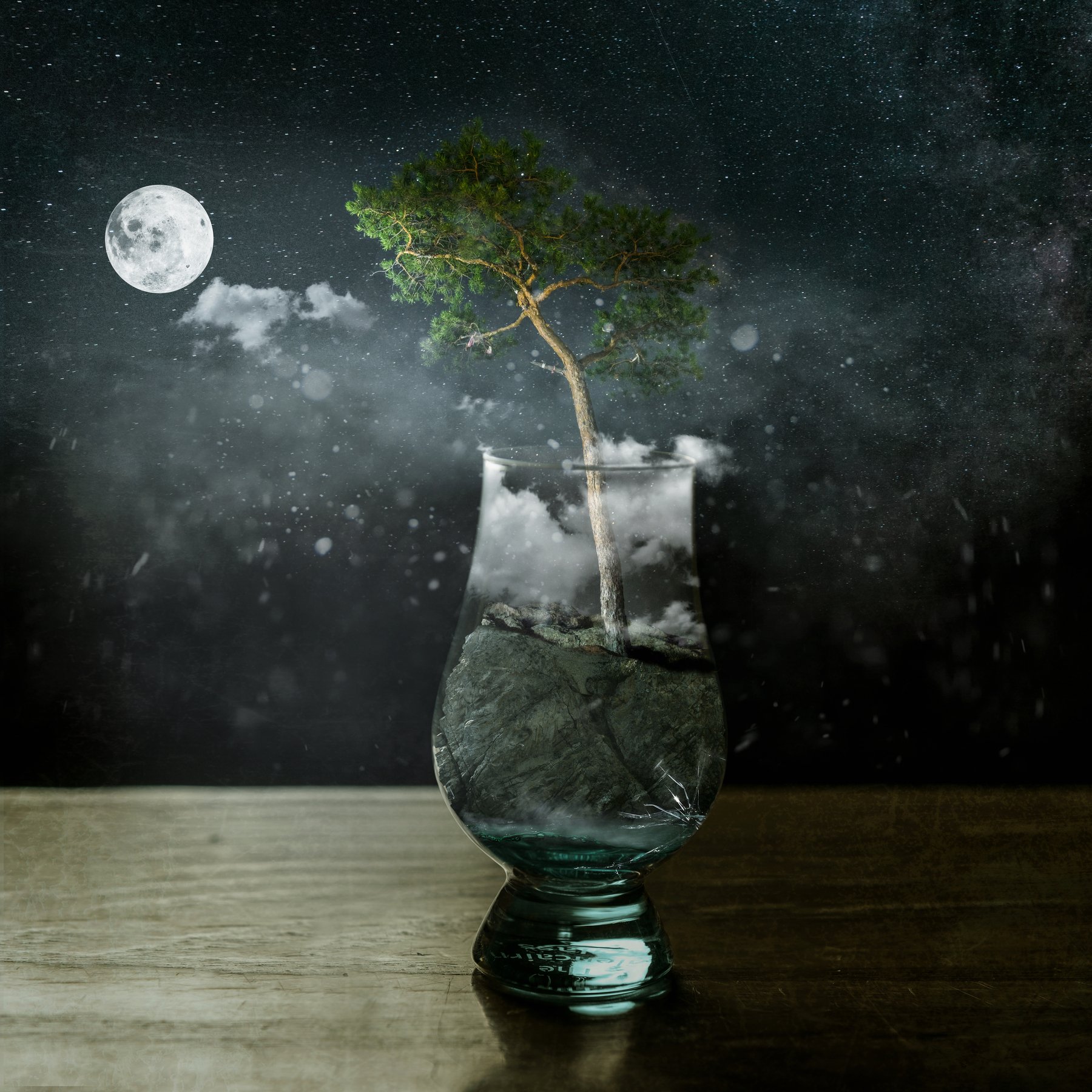 tree, sky, moon, Андрей Болдышев