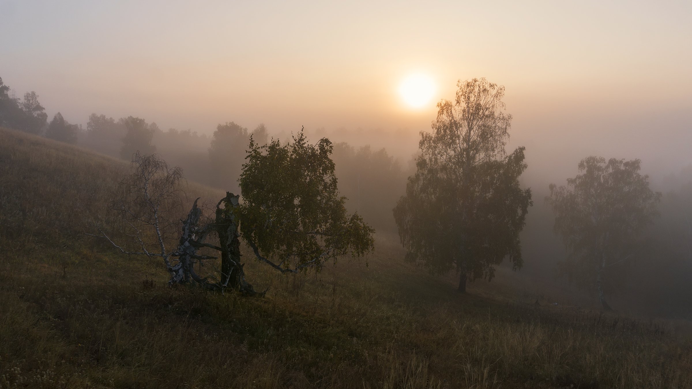утро, рассвет, восход, туман, лучи, Леонид Максименко