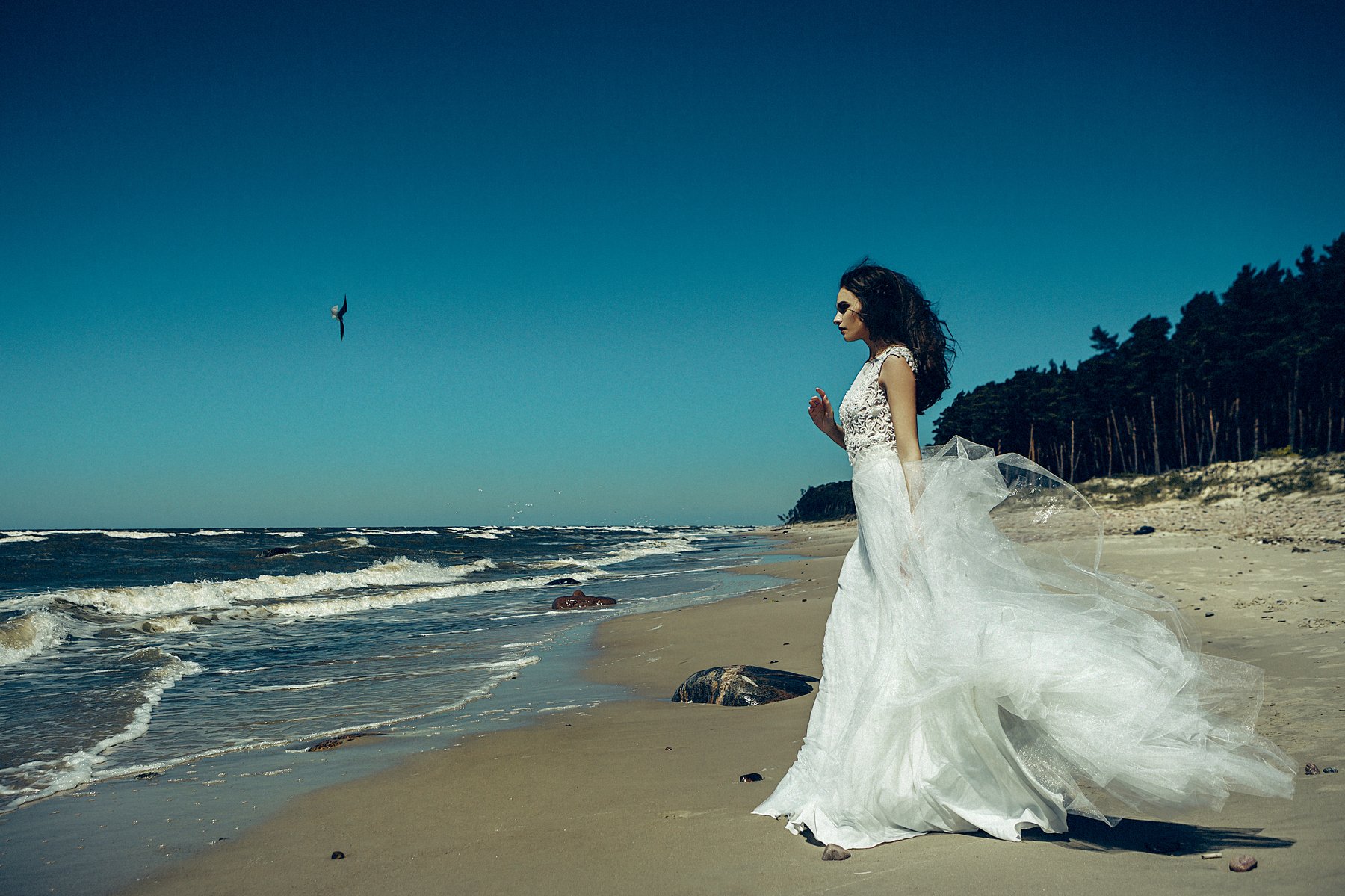 woman, portrait, bride, wedding, dress, baltic sea, beach, bird, Руслан Болгов (Axe)