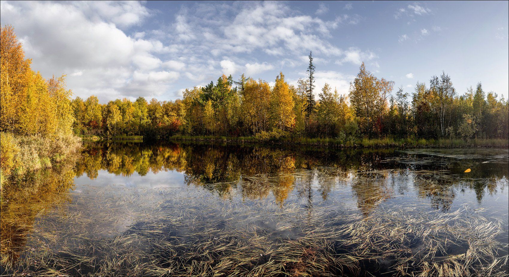 пейзаж,  природа,  лес,  тундра,  небо,  вода,  озеро,  осень, Роман Чудинович