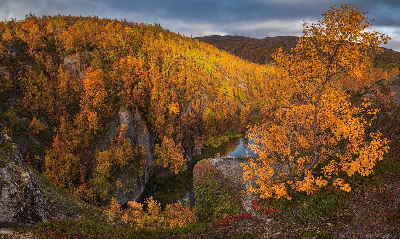 пейзаж,осень,россия,золото,панорама,отражение,небо,дерево,перспектива,цвет,север,кольский полуостров, Виталий Истомин