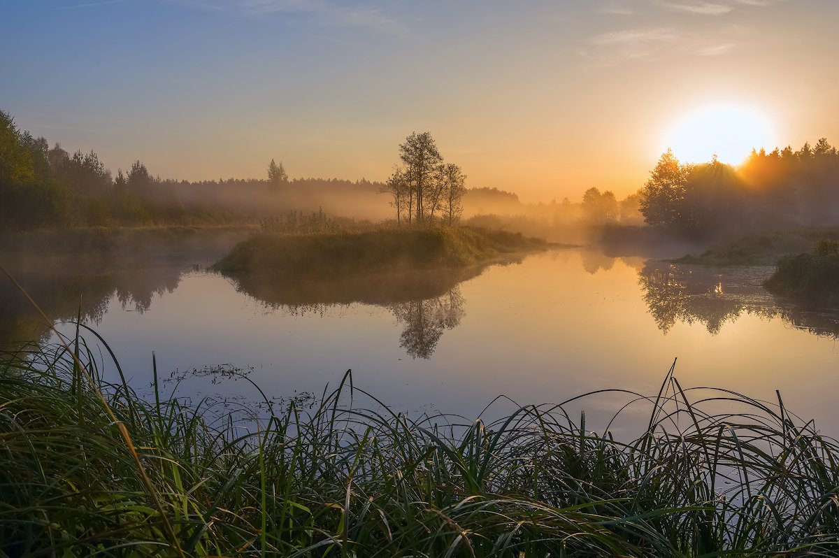 осень рассвет река туман утро желтый отражение солнце, Марина Мурашова