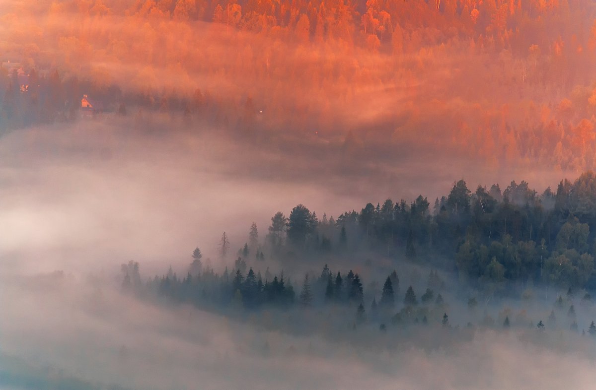 pieniny, Daniel Wdowiak