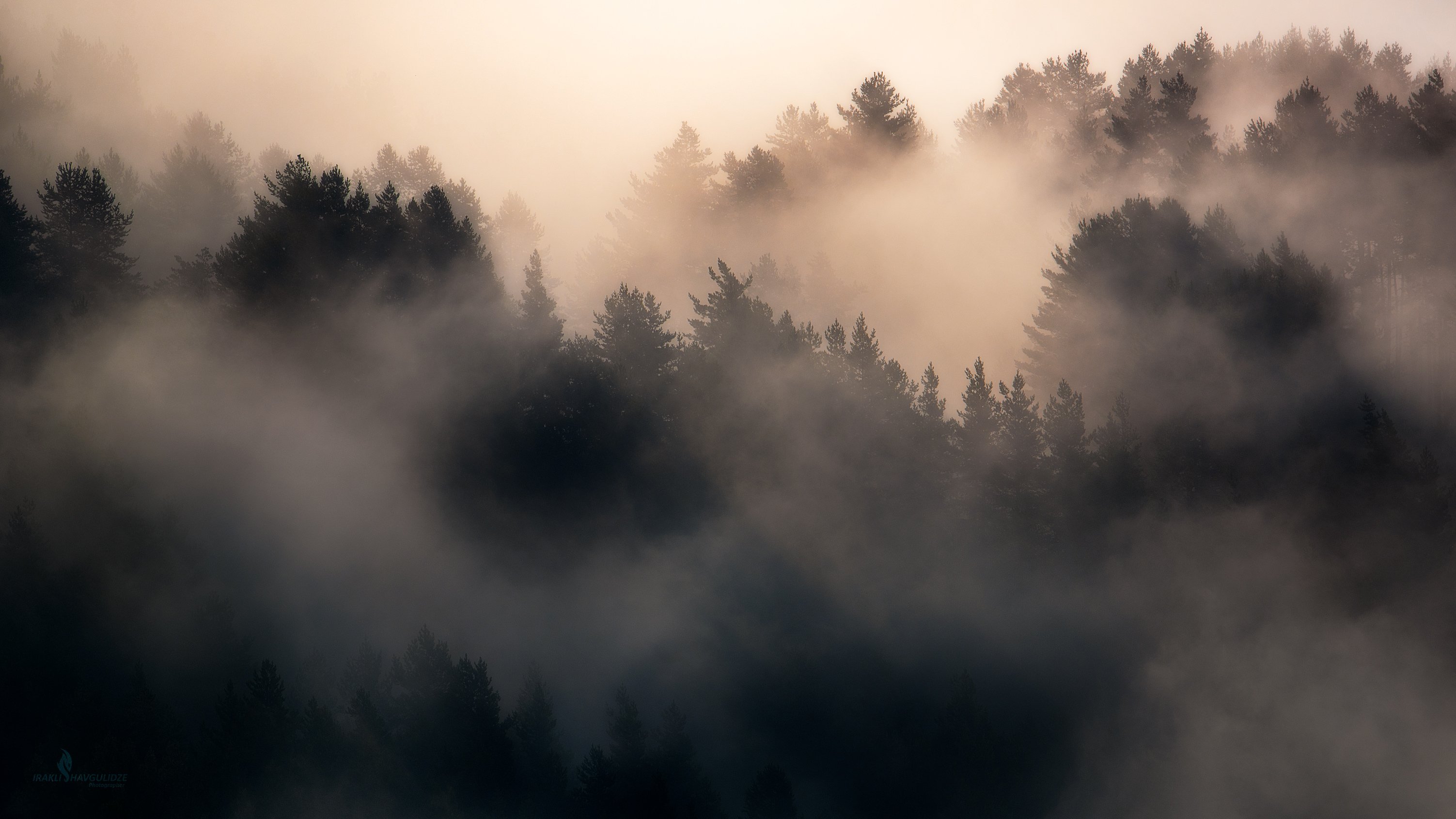 туман, пейзаж, Тушети, Грузия, горы, лес, восход, Ираклий Шавгулидзе
