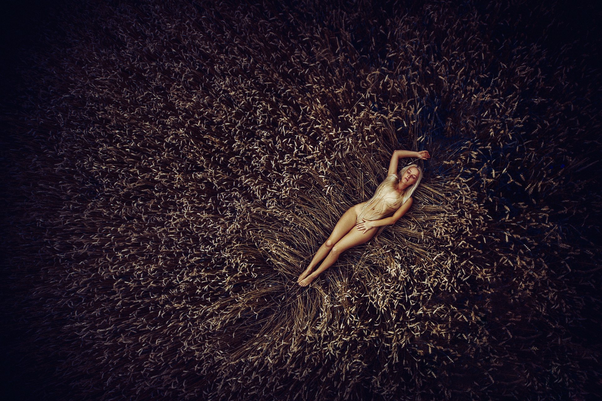 woman, field, wheat, natural light, nude, Руслан Болгов (Axe)