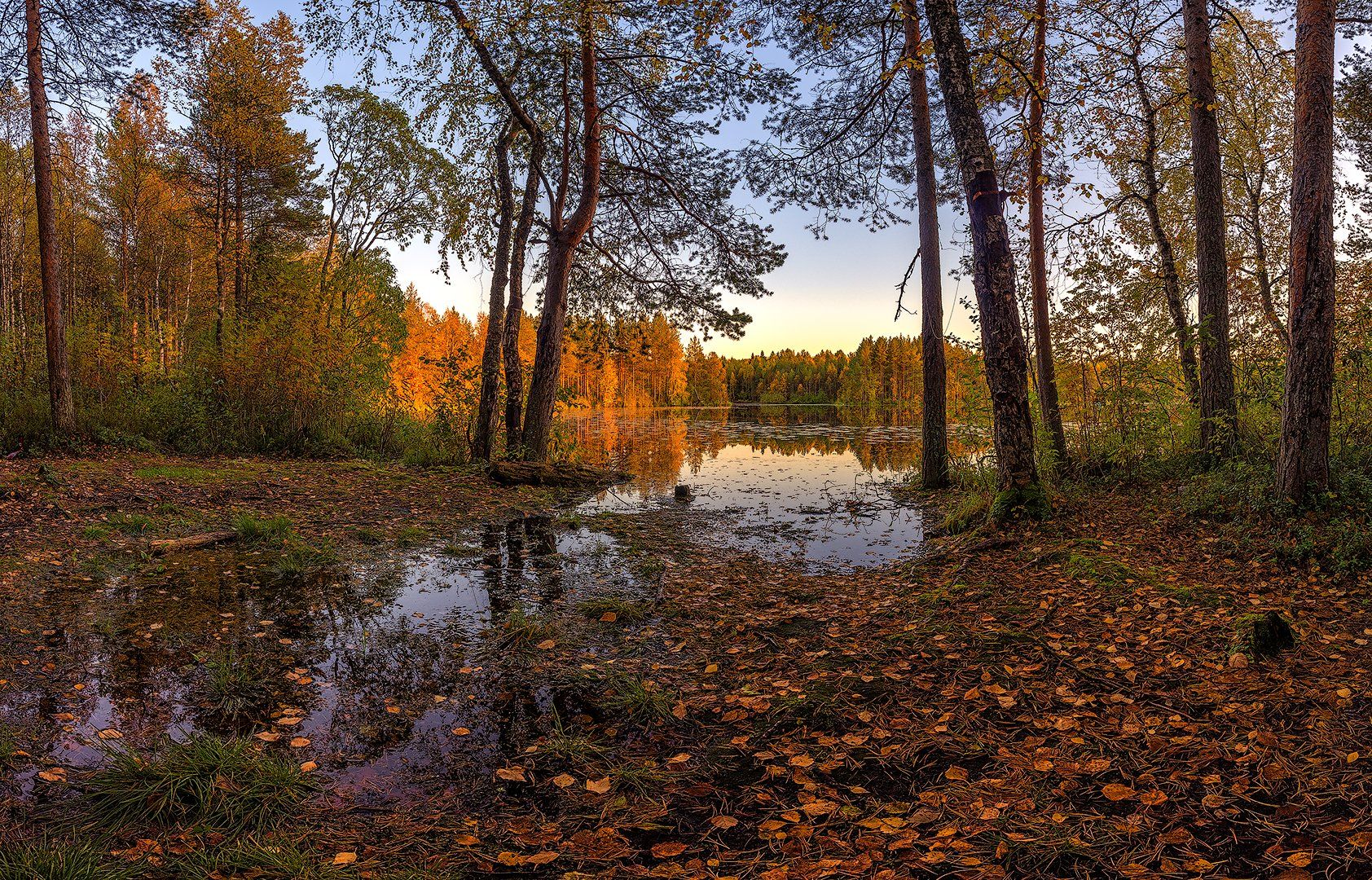 , Олег Авдеев