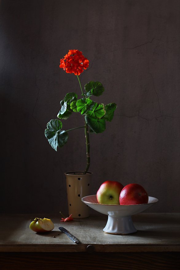 натюрморт, цветы, герань, фрукты, яблоки, Курочкина Диана