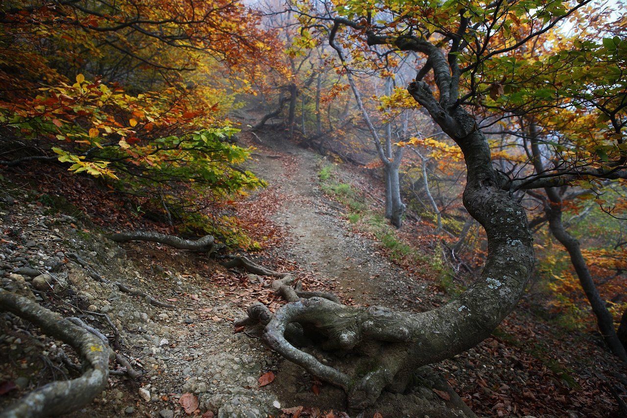 крым, демерджи, октябрь, Лопухов Сергей