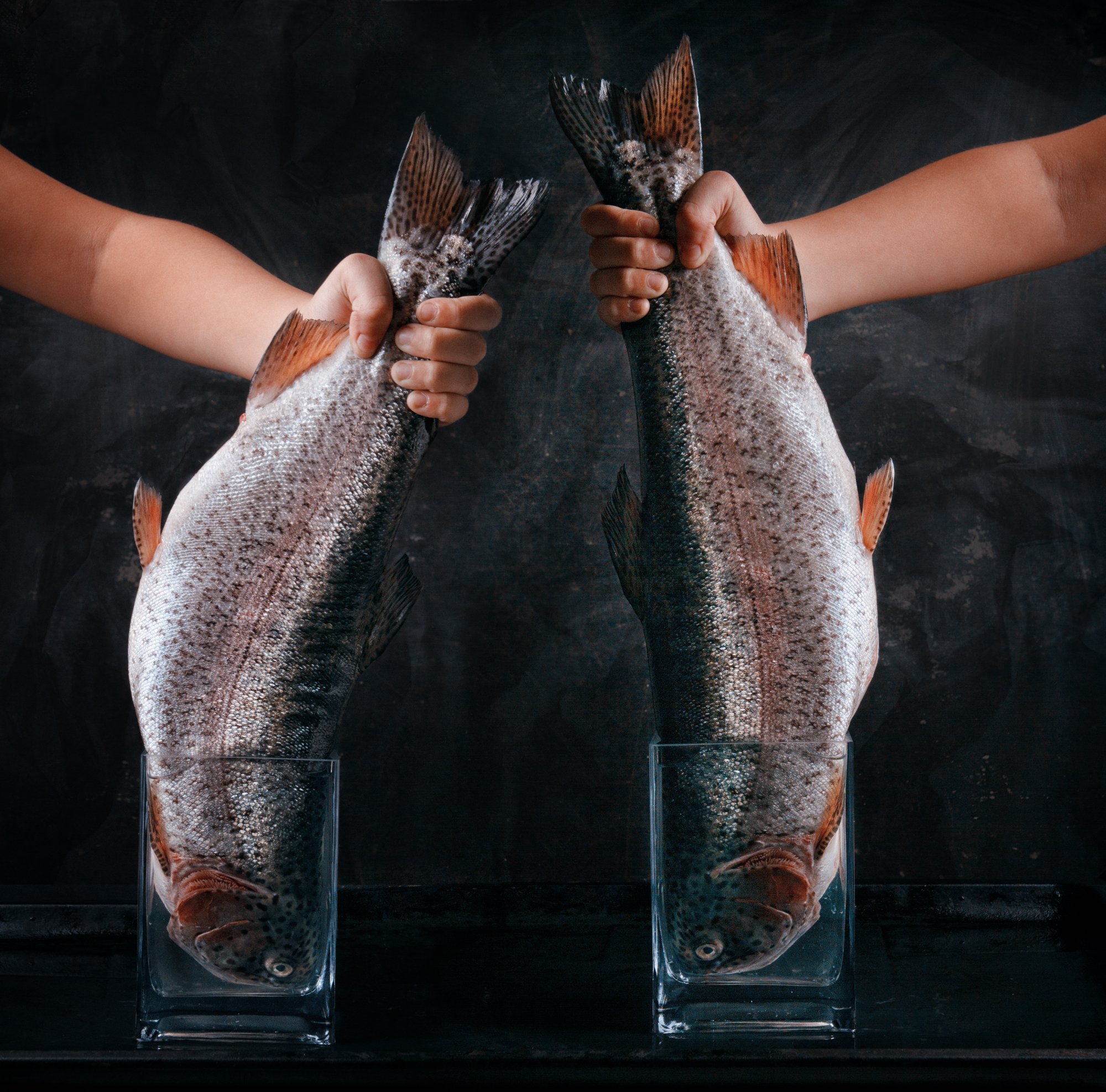 рыба, форель, рука, емкость, вода, фуд фотография, Наталья Голубева