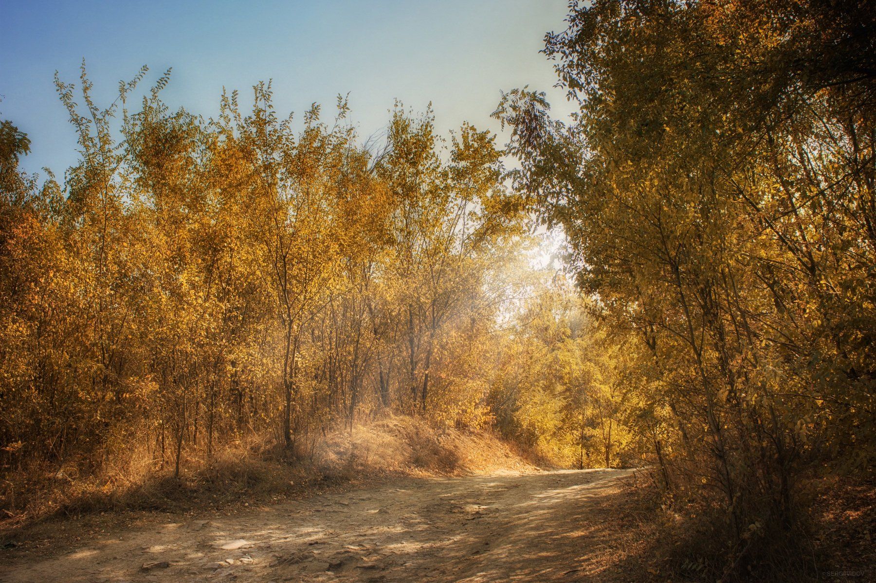 дорога, лес, осень, Sergii Vidov